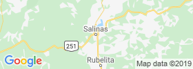Salinas map